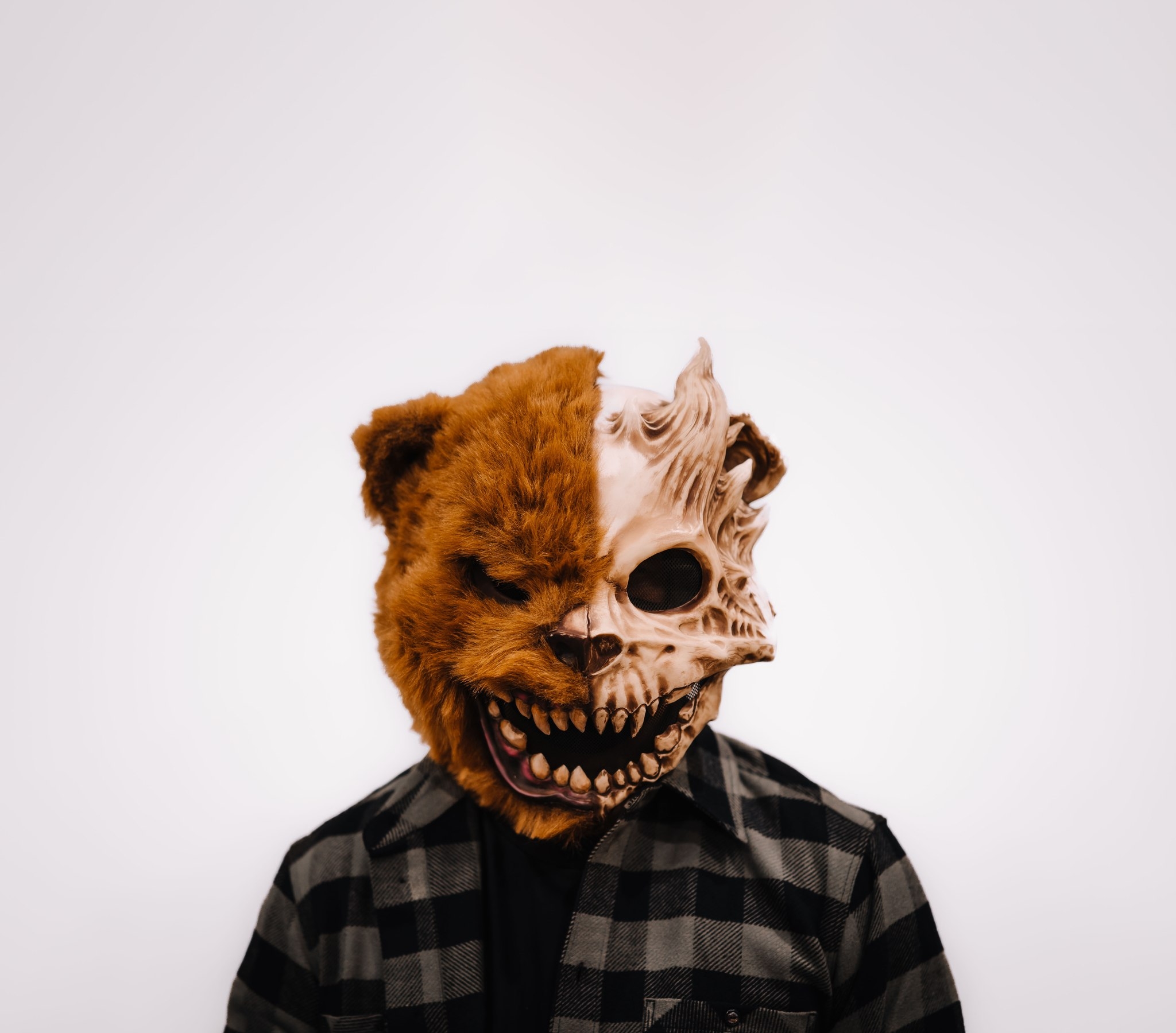 Bear Grillz press photo