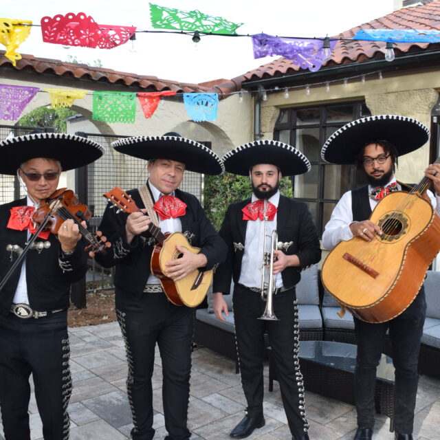 Mariachi Primera Costa